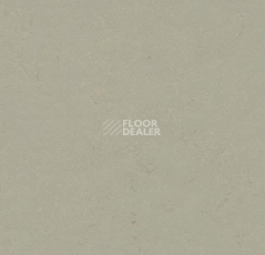 Линолеум Forbo Marmoleum Decibel on Order 372435 orbit фото 1 | FLOORDEALER